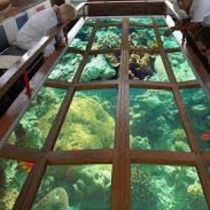 Aqaba con la barca